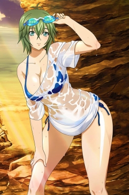 画像ギャラリー No.010のサムネイル画像 / 「ブラウザ一騎当千」に「濡れ透け闘士」11体が期間限定で登場