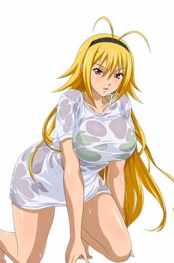 画像ギャラリー No.015のサムネイル画像 / 「ブラウザ一騎当千」に「濡れ透け闘士」11体が期間限定で登場