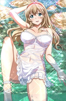 画像ギャラリー No.003のサムネイル画像 / 「ブラウザ一騎当千」,トーシダスに「濡れ透け(後半)」が登場