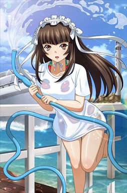 画像ギャラリー No.008のサムネイル画像 / 「ブラウザ一騎当千」,トーシダスに「濡れ透け(後半)」が登場