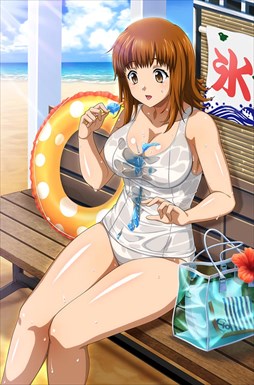 画像ギャラリー No.009のサムネイル画像 / 「ブラウザ一騎当千」,トーシダスに「濡れ透け(後半)」が登場