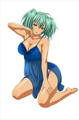 画像ギャラリー No.012のサムネイル画像 / 「ブラウザ一騎当千」,トーシダスに「ナイトドレス(前半)」が登場