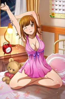 ꡼ No.011 | ֥֥饦쵳סȡˡ֥ʥȥɥ쥹ʸȾˡפо