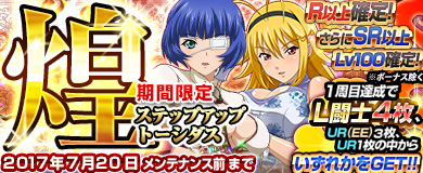 ꡼ No.003Υͥ / ֥֥饦쵳סƥåץåץȡˡѷ㥤ʡȾ פо