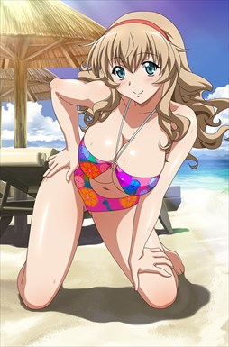 ꡼ No.009 | ֥֥饦쵳ס֥ꥮ&#9829;Х󡡿Ⱦ פо