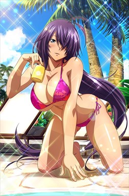 画像ギャラリー No.005のサムネイル画像 / 「ブラウザ一騎当千」,「ギリギリ♥バケーション 水着(後半)」が登場