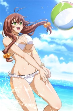 画像ギャラリー No.011のサムネイル画像 / 「ブラウザ一騎当千」,「ギリギリ♥バケーション 水着(後半)」が登場