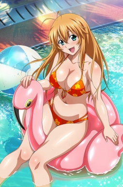 ꡼ No.005 | ֥֥饦쵳 פ˿ѤƮΤָо