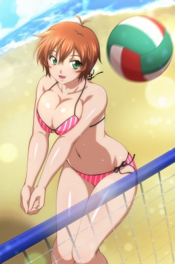 ꡼ No.010 | ֥֥饦쵳 פ˿ѤƮΤָо