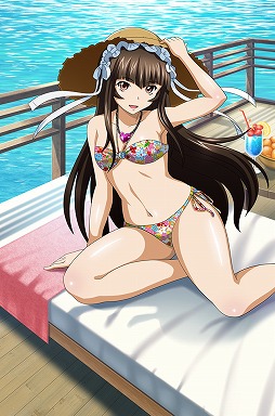 ���������꡼ No.011�Υ���ͥ������ / �֥֥饦���쵳����ס����٥�ȡȿ���쥸�㡼�ɤθ�Ⱦ������