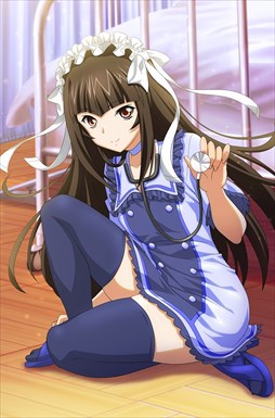 ꡼ No.009 | ֥֥饦쵳סȡˡǮƥץơ󡡥ʡȾˡפо