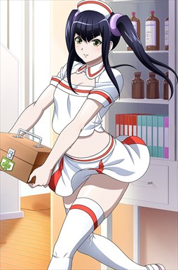 ꡼ No.012 | ֥֥饦쵳סȡˡǮƥץơ󡡥ʡȾˡפо