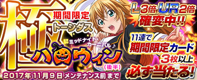 ꡼ No.002Υͥ / ֥֥饦쵳ס֥ߥåɥʥȡ˥ХϥʸȾˡо