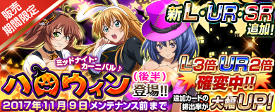 ꡼ No.003Υͥ / ֥֥饦쵳ס֥ߥåɥʥȡ˥ХϥʸȾˡо