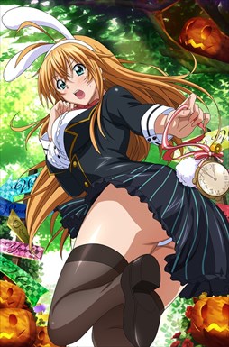 ꡼ No.005 | ֥֥饦쵳ס֥ߥåɥʥȡ˥ХϥʸȾˡо