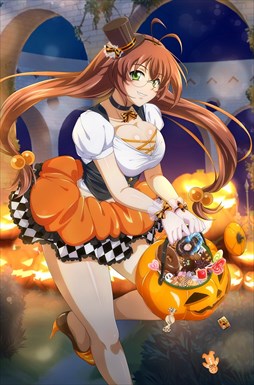 ꡼ No.007 | ֥֥饦쵳ס֥ߥåɥʥȡ˥ХϥʸȾˡо