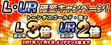 ꡼ No.016Υͥ / ֥֥饦쵳ס֥ߥåɥʥȡ˥ХϥʸȾˡо