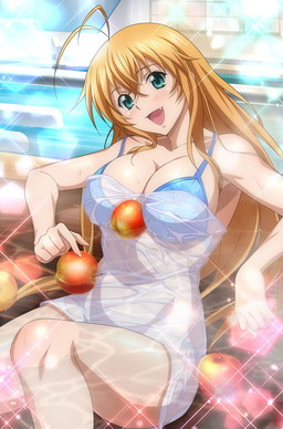 ꡼ No.005 | ֥֥饦쵳 פˡȩԡ&#9829; ѡɤƮΥɤо