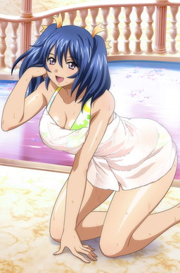 ꡼ No.009 | ֥֥饦쵳 פˡȩԡ&#9829; ѡɤƮΥɤо