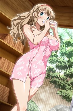 ꡼ No.003 | ֥֥饦쵳סȡˡͤǤʸȾ о