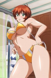 画像ギャラリー No.008のサムネイル画像 / 「ブラウザ一騎当千」,“密室で内緒☆着替え中”カードが登場