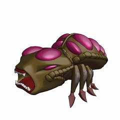 ꡼ No.005 | ֥ ϲ̡رסƻ­ڡˡɤʤŨ󥹥5郎