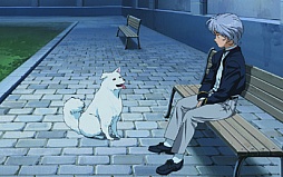 ꡼ No.029 | ֥ ư̿פBlu-rayȯ䵭ǰ٥Ȥ121˳