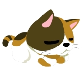 ���������꡼ No.002�Υ���ͥ������ / �������������ӥ������Ϥ�����CLOUD SEVEN�פǡ�Ȣ���饤�աɤ�