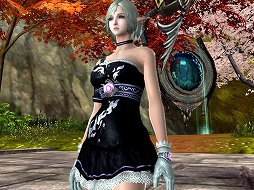 ꡼ No.037 | ֥ɥ饴ʡפƮϡֳáפȡʬáפλȤʬݥȡɦ¥ƥȤƥץ쥤ݡȤǺ