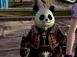 ꡼ No.042 | ֥ɥ饴ʡפƮϡֳáפȡʬáפλȤʬݥȡɦ¥ƥȤƥץ쥤ݡȤǺ