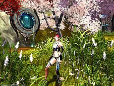 ꡼ No.005 | ֥ɥ饴ʡȯ٥ȳŤ227ޤǳиͤ1.5ܤˡƥCOREɥåΨåסȼαäݤ塼Ⳬȯ