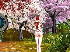 ꡼ No.006 | ֥ɥ饴ʡȯ٥ȳŤ227ޤǳиͤ1.5ܤˡƥCOREɥåΨåסȼαäݤ塼Ⳬȯ