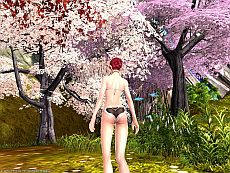 ꡼ No.008 | ֥ɥ饴ʡȯ٥ȳŤ227ޤǳиͤ1.5ܤˡƥCOREɥåΨåסȼαäݤ塼Ⳬȯ