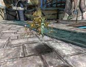 ꡼ No.002 | ֥ɥ饴ʡ׳åƥˡ2ȳáפɲáեɡ֥եפ