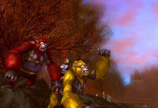 ꡼ No.012 | XAOCס٥󥹥󥹥󥸥޹פ侩٥50