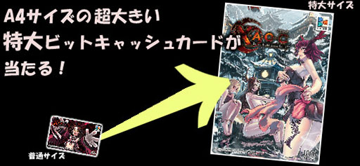 画像ギャラリー No.003のサムネイル画像 / 「X・A・O・C」,新商品はお正月限定福袋。2014年1月16日まで販売