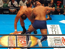 ꡼ No.111 | Ĺ鲵ͺϺ꤬ץ쥹ǥӥ塼Ǿ֥åå塼äꡤߥ륭ۡॺΤä㤤ġĤȻ³ȯΡ֥֥ɥ쥹󥰡ץݡ