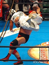 ꡼ No.133 | Ĺ鲵ͺϺ꤬ץ쥹ǥӥ塼Ǿ֥åå塼äꡤߥ륭ۡॺΤä㤤ġĤȻ³ȯΡ֥֥ɥ쥹󥰡ץݡ