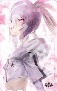 ���������꡼ No.005�Υ���ͥ������ / �֥֥�å������å����塼���� THE GAME�פ�Ź���̹�����ŵ����������BRS�פ����Ǥʤ�����WRS�ס�XNFE�פΥ��饹�Ȥ������줿��ŵ��