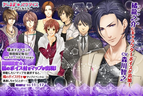 ���������꡼ No.002�Υ���ͥ������ / �֤����뤺���ѥ�������ס��ե����󥻡��̤˿�����Ƿ����ˤ��ܥ����ɲ�