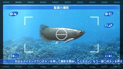 ���������꡼ No.005�Υ���ͥ������ / �֥֥롼���������׼����ο����Ͽ�褷�ƥ��åץ����ɤ��褦