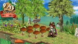 ꡼ No.008 | ֥顼ȤΥȥꥨʡȤϣѻ2ĤλפС׽׹ά󤬸եԥ֤ˤ뤿ˡȡʥʥߤνи郎餫