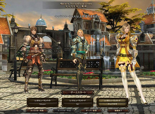 ���������꡼ No.010�Υ���ͥ������ / ����ꥪ��MMORPG�֥������ꥢ�פ�����θ�������2�� ���ո�PC������ե������פǼ»ܡ������Ϻǿ������ܸ��ǥ����꡼�󥷥�åȤ�����