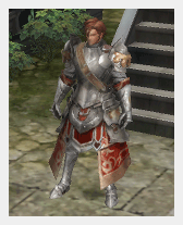 ���������꡼ No.008�Υ���ͥ������ / ����ꥪ��MMORPG�֥������ꥢ�פΡȥץ쥪���ץ�¥ƥ��ȡɤˤ�������������ǡ����κ�������