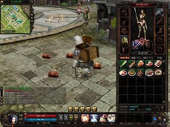 ꡼ No.006 | ֥ꥢס427ˡƥפ