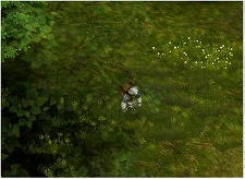 ꡼ No.014 | ֥ꥢ525緿åץǡȡֳν1ƤǼ뿷ޥåפˡξҲࡼӡ䥹꡼󥷥åȤ4GamerUp