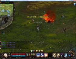 ꡼ No.002 | ֥ꥢץåץǡȤǼ֥󥹥޴աפʤɤξ󤬸