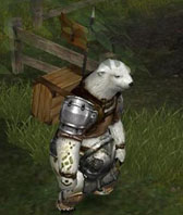 ꡼ No.003Υͥ / ֥ꥢפο٥ȡ֥󥷥󥰥٥Υץ쥼ȡפ