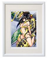 ꡼ No.009 |  ॰å饤󥷥åפǴָ꾦ʤ420