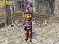 ꡼ No.004 | ҳ Online Tierra AmericanaץեꥫϰȤȤ¿о졤åץǡȡGold Coastפ913˼»